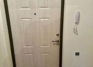 Аренда 1-ком. квартиры, 29 м2, посёлок Шушары, Старорусский проспект, 5к1