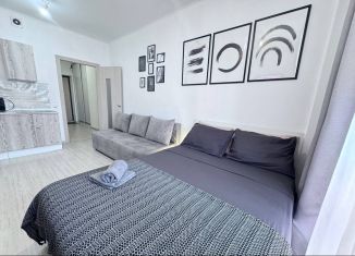 Аренда квартиры студии, 32 м2, Екатеринбург, улица Чайковского, 66А