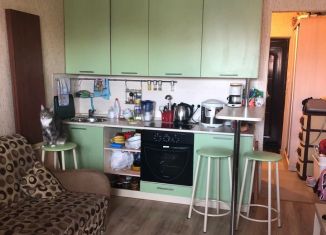 Продаю квартиру студию, 24.5 м2, Санкт-Петербург, улица Коммунаров, 190, Красносельский район