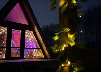 Сдам в аренду дом, 46.3 м2, Новосибирская область, СНТ Озёрное, 148