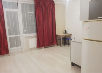 Продаю квартиру студию, 27.3 м2, Санкт-Петербург, Парфёновская улица, 9к2, метро Фрунзенская