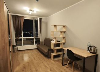 Сдам квартиру студию, 22 м2, посёлок Парголово, Толубеевский проезд, 8к2