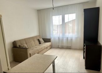 Сдам в аренду квартиру студию, 20 м2, Екатеринбург, улица 40-летия Комсомола, 35/3