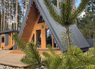 Сдается дом, 60 м2, деревня Пихтулино