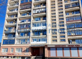 Продажа 1-ком. квартиры, 27 м2, Санкт-Петербург, Новоизмайловский проспект, 22к1, метро Московская
