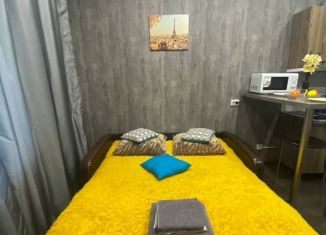 Сдам квартиру студию, 28 м2, Санкт-Петербург, Плесецкая улица, 10, Приморский район