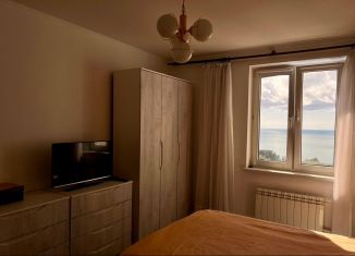 Сдам в аренду 2-ком. квартиру, 55 м2, Сочи, Инжирная улица, 3, микрорайон Новый Сочи