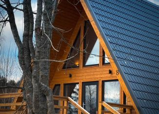 Сдача в аренду дома, 65 м2, деревня Кирконкюля