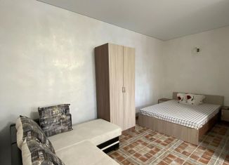 Сдается комната, 30 м2, поселок городского типа Заозерное, Молодёжная улица, 65