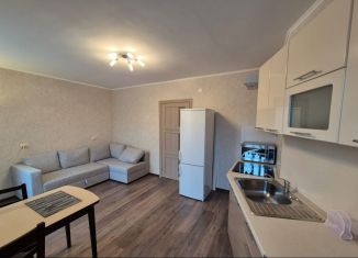 Продается квартира студия, 29.1 м2, Санкт-Петербург, Юнтоловский проспект, 53к2