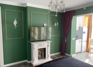 Продажа 1-ком. квартиры, 29.5 м2, деревня Куюки, Молодёжная улица, 29, ЖК Новые Куюки