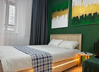 Сдаю квартиру студию, 32.8 м2, Екатеринбург, улица Чапаева, 79