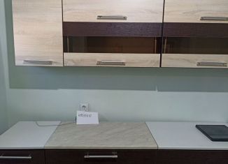 Сдача в аренду дома, 48 м2, садовое товарищество Металлург-2, садовое товарищество Металлург-2, 307