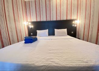Сдам в аренду квартиру студию, 45 м2, Екатеринбург, Союзная улица, 2