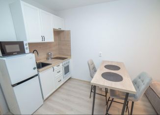Продам квартиру студию, 21.5 м2, Екатеринбург, улица Евгения Савкова, 23, Академический район