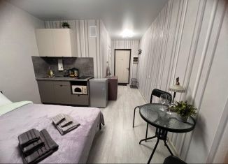 Сдается квартира студия, 20 м2, Екатеринбург, микрорайон Светлый, 11