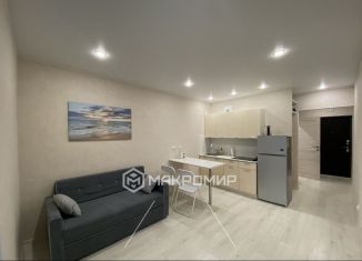 Сдается квартира студия, 24 м2, посёлок Парголово, улица Шишкина, 293