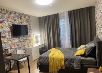 Сдаю в аренду квартиру студию, 25 м2, Мурино, Воронцовский бульвар, 20к1
