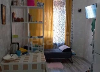 Сдается комната, 17 м2, Санкт-Петербург, Мытнинская улица, 15А