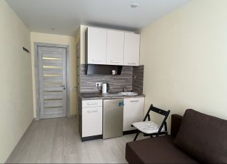 Сдаю в аренду квартиру студию, 14 м2, Москва, Варшавское шоссе, 84, ЮАО