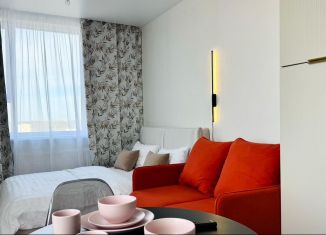 Аренда квартиры студии, 31 м2, Екатеринбург, улица Фрунзе, 31