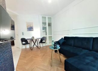 Продается квартира студия, 23.8 м2, Санкт-Петербург, Васнецовский проспект, 22