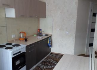 Сдам 1-ком. квартиру, 33 м2, Новосибирск, улица Макаренко, 19, метро Заельцовская