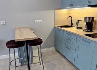 Аренда квартиры студии, 26 м2, посёлок Шушары, Старорусский проспект, 8к1
