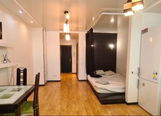 Сдаю квартиру студию, 26.8 м2, Благовещенск, Зейская улица, 323