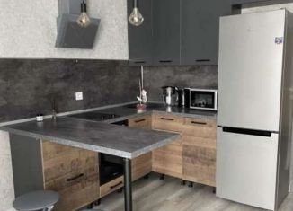 Сдам квартиру студию, 30 м2, Тюмень, улица Михаила Сперанского, 41, ЖК Видный