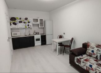 1-ком. квартира в аренду, 36 м2, посёлок Шушары, Колпинское шоссе, 129