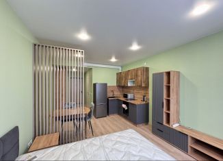 Квартира в аренду студия, 27 м2, Екатеринбург, улица Краснофлотцев, 71
