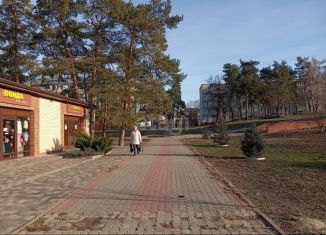 Продаю 2-комнатную квартиру, 43.8 м2, Шебекино, улица Мичурина, 3