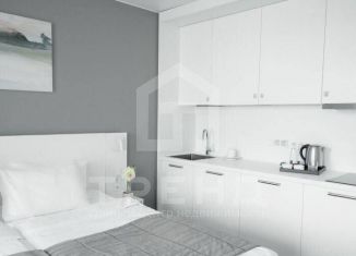 Продажа квартиры студии, 26 м2, Санкт-Петербург, улица Салова, 61, Фрунзенский район