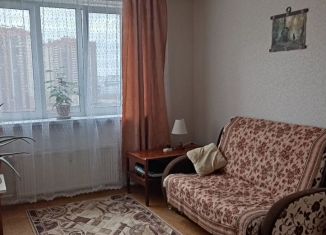 Сдача в аренду 1-ком. квартиры, 37 м2, посёлок Парголово, улица Фёдора Абрамова, 8