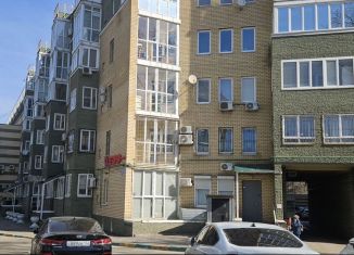 Продаю трехкомнатную квартиру, 117 м2, Нижегородская область, улица Костина, 6к1
