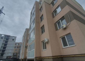 Продажа однокомнатной квартиры, 25 м2, Елец, микрорайон Александровский, 22