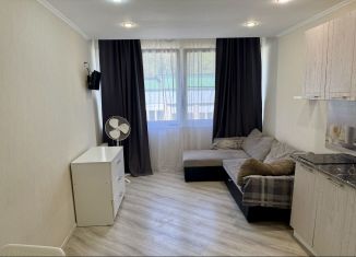 Однокомнатная квартира в аренду, 18 м2, Сочи, Пасечная улица, 41, микрорайон Донская