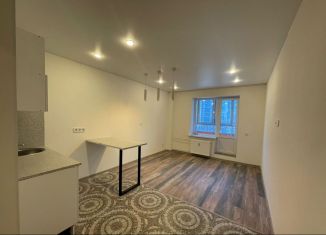 Аренда квартиры студии, 23 м2, Мурино, Петровский бульвар, 2к1