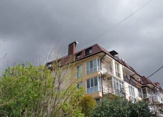 Продается квартира студия, 27.4 м2, Сочи, Целинная улица, 21/2, микрорайон Мамайка