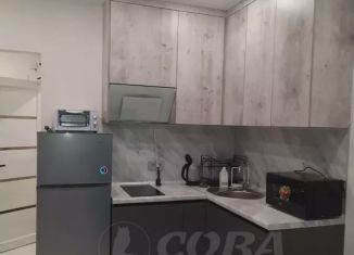 Сдам в аренду квартиру студию, 22 м2, Тюмень, Полевая улица, 117к4, ЖК Озёрный Парк