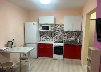 1-комнатная квартира в аренду, 33.2 м2, Екатеринбург, улица Евгения Савкова, 35, Академический район