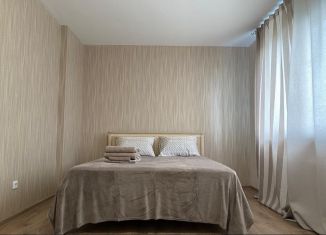 Аренда 1-комнатной квартиры, 41 м2, Нижний Новгород, Цветочная улица, 13к2, ЖК Цветы