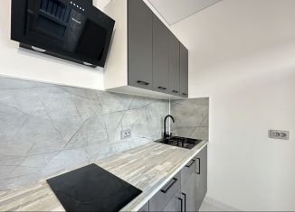 Сдаю квартиру студию, 24 м2, посёлок Шушары, Колпинское шоссе, 129