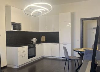 Сдается в аренду трехкомнатная квартира, 70 м2, Санкт-Петербург, Арцеуловская аллея, 15, метро Комендантский проспект
