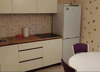 Сдача в аренду однокомнатной квартиры, 44.9 м2, посёлок Шушары, Изборская улица, 3к1
