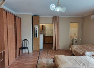 1-комнатная квартира в аренду, 40 м2, Сочи, улица Голубые Дали, 85, микрорайон Голубые Дали