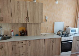 Однокомнатная квартира в аренду, 27 м2, посёлок Голубево, Изумрудная улица, 14