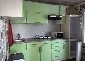 Сдается в аренду дом, 32 м2, деревня Коткозеро, Олонецкая улица, 24А