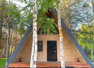 Сдам в аренду дом, 60 м2, деревня Красный Огорок, Дачный проезд